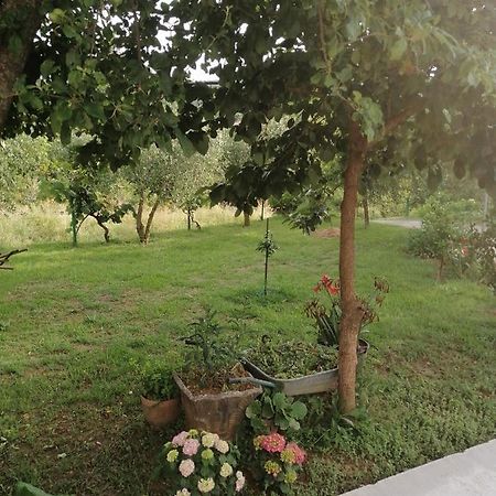 Apartman Petovic Kotor Exterior photo