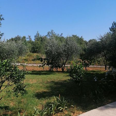 Apartman Petovic Kotor Exterior photo
